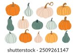 Set of colorful various pumpkins in flat style isolated on white background. Vector illustration