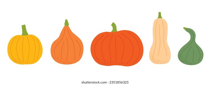 set of colorful various pumpkins- vector illustration