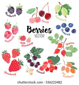 Set of colorful vector berries