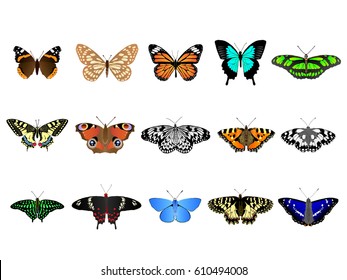 Set of colorful vector butterflies from around the world.
