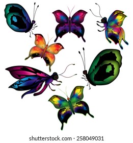 Set of colorful vector butterflies for design. EPS 10