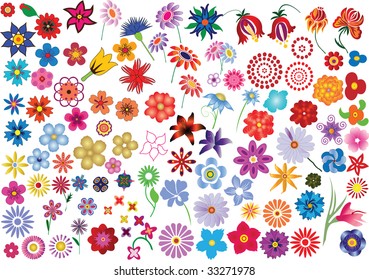 Set of colorful vector floral elements - flowers