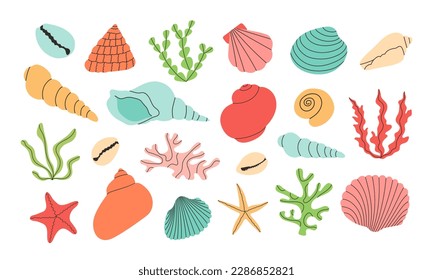 Set of colorful vector hand draw seashells, starfishes, corals, seaweed. Isolated design elements. Summer vacation collection, tropical beach shells.