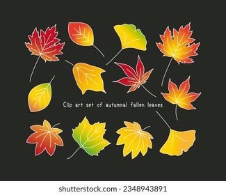 Set of colorful vector illustrations of autumnal fallen leaves. Ginkgo, maple, oak, maple leaf, plane tree, maple