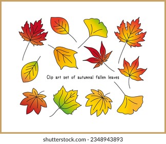 Set of colorful vector illustrations of autumnal fallen leaves. Ginkgo, maple, oak, maple leaf, plane tree, maple