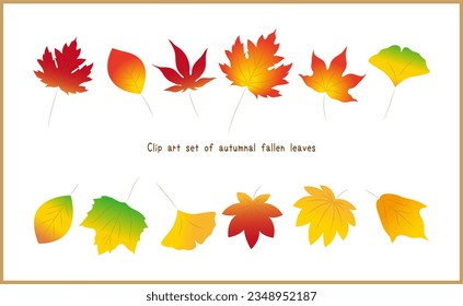 Set of colorful vector illustrations of autumnal fallen leaves. Ginkgo, maple, oak, maple leaf, plane tree, maple