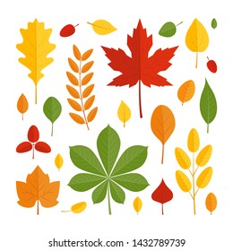 Set of colorful vector leaves in flat style. Simple icons isolated on white background