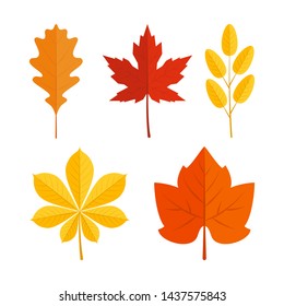 Set of colorful vector leaves in flat style. Simple icons isolated on white background