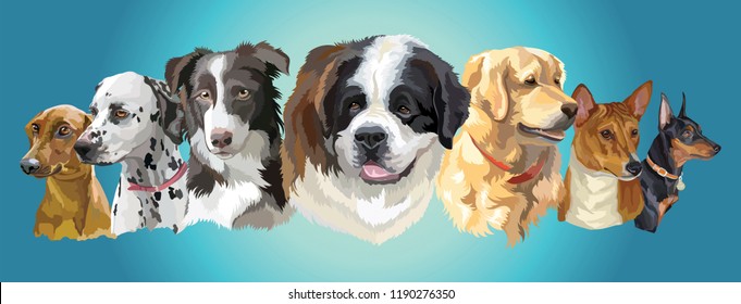 Set of colorful vector portraits of dog breeds (German Pinscher; dalmatian; Border Collie; St. Bernard; Basenji; golden retriever; Miniature Pinscher) isolated on turquoise background