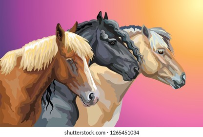 Set of colorful vector portraits of horses breeds (Norwegian Fjord Pony; Friesian horse, Byelorussian Harness Horse) isolated on gradient background