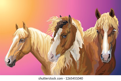 Set of colorful vector portraits of horses breeds ( Pinto Horse; Byelorussian Harness Horse; American Quarter horse) isolated on gradient background