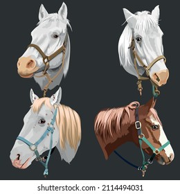 Set of colorful vector portraits of horses breeds. Isolated on Dark Grey Background.