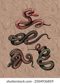 Set of colorful vector snakes on a patterned background