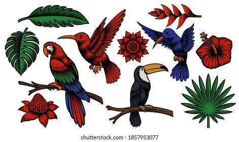 Set of colorful vector tropical birds and exotic flowers isolated on white background