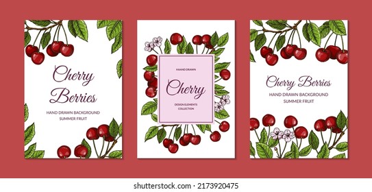 Set of colorful vertical cherry designs. Vector illustration in colored sketch style