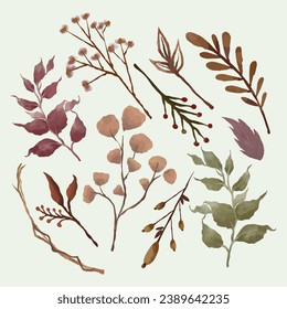 Set of colorful vintage watercolor leaves illustration. Decorative painted illustrations of dry brown leaves, stem, branch, buds and green leaves, pollen and gypsy flower
