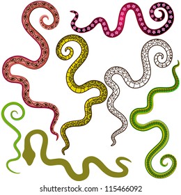 Set of colorful wavy lines for design on white (vector)