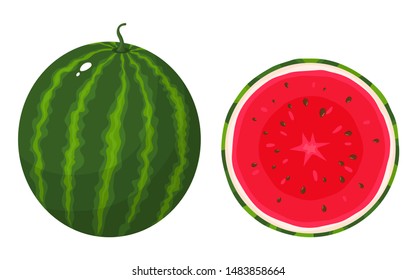 Set of colorful whole and half of juice watermelon isolated on white background. Fresh cartoon berries. Vector illustration for any design.