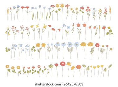 Set of colorful wildflowers with contour. Hand-drawn diverse meadow flowers, herbs, and wild plants. Botanical elements for design projects. Detailed floral vector illustration