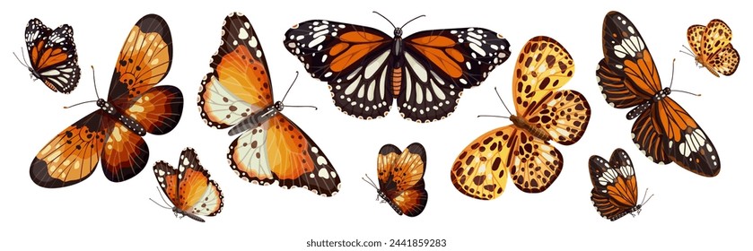 Set of colorful winged insects, various butterflies.Vector graphics.