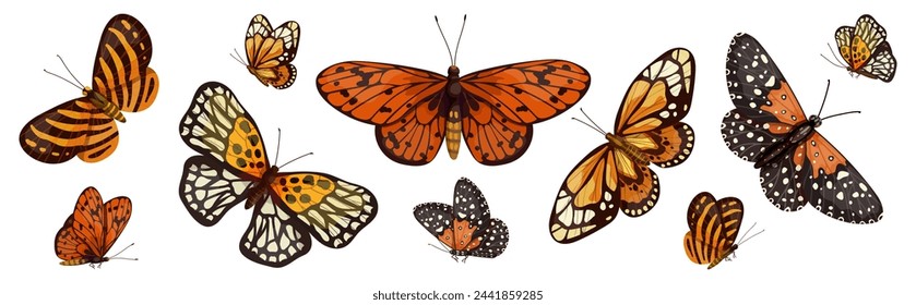 Set of colorful winged insects, various butterflies.Vector graphics.