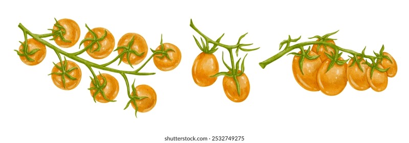 Conjunto de coloridas frutas de tomate cherry amarillo. Gráficos de Vector.