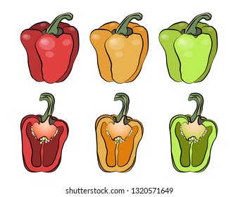 Set of colorfull bell Bulgarian pepper, red, yellow and green paprika. Vector illustration isolated on white background