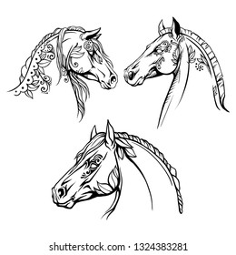set coloring page horse head with a pattern of flowers. vector illustration.