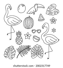 Set coloring pages element tropics. Black and white. Abstract flat.