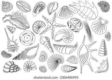 Set of coloring with various seashells. Starfish, shellfish, underwater world