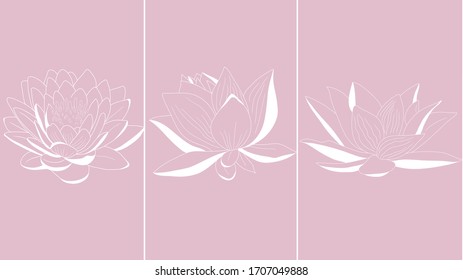 Un conjunto de colores realzados en blanco.  Loto minimalista.  Dibujo de línea.  Lotus blanco.