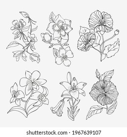 A set of colors in a linear style of black on a white background. Decorative elements for design, application for the design of wedding invitations. EPS 10.