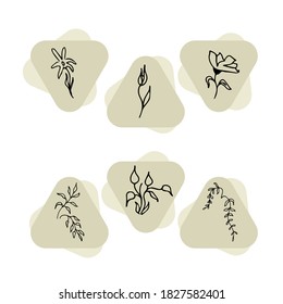 
a set of colors in the style of minimalism. hand drawing vector illustration of flowers and leaves