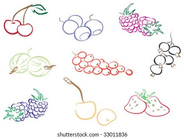 Set of colour contour berries