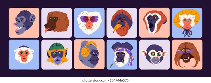 Conjunto de avatares coloridos de macacos engraçados. Ícones de forma quadrada com cabeças de animais divertidos. Retratos de rostos primatas bonitos para o perfil do usuário. Ilustrações de vetor isoladas planas sobre fundo branco