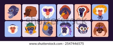 Set of colourful avatars of funny monkeys. Square shape icons with heads of amusing animals. Portraits of cute primate faces for user profile. Flat isolated vector illustrations on white background