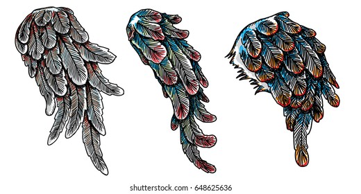 Set of colourful bird wings of different shape in open position isolated on white background. Colorful angel wings hand drawing sketch. Hipster tattoo or vintage body art concept. Vector.