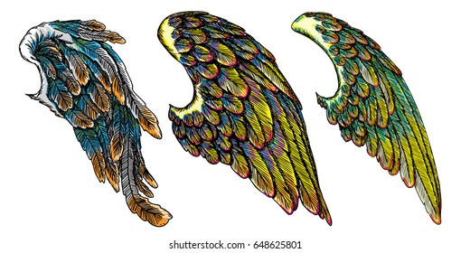 Set of colourful bird wings of different shape in open position isolated on white background. Colorful angel wings hand drawing sketch. Hipster tattoo or vintage body art concept. Vector.