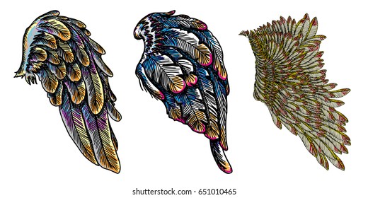 Set of colourful bird wings of different shape in open position isolated on white background. Colorful angel wings hand drawing sketch. Hipster tattoo or vintage body art concept. Vector.