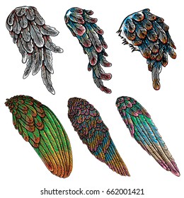 Set of colourful bird wings of different shape in open position isolated on white background. Colorful angel wings hand drawing sketch. Hipster tattoo or vintage body art concept. Vector.