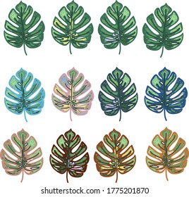 A set of colourful monstera  leaves vector illustration, copybooks cover, apparel print.
