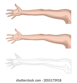 Conjunto de coloridos y estofados brazo largo de mano de hombre mujer fuera