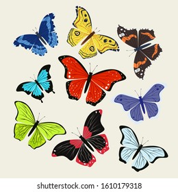 a set of colourful tropical butterflies