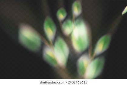 A set of colourful vector lens, crystal rainbow  light  and  flare transparent effects.Overlay for backgrounds.Triangular prism concept.