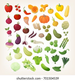 Set of common vegetables organized in rainbow layout. 