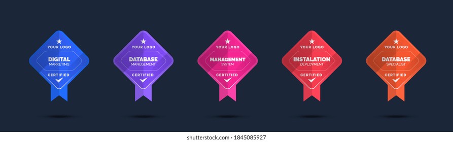 Set of company training badge certificates to determine based on criteria. Standard verified modern colorful vector illustration.