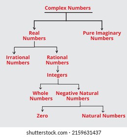 Set Complex Numbers Diagram Flowchartmathematics Vector Stock Vector ...