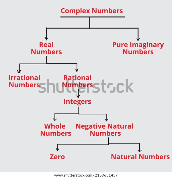 Vektor Stok Set Complex Numbers Diagram Flowchartmathematics Vector