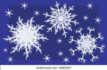 Set of complex vector snowflake shapes, dark blue background