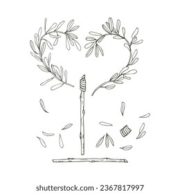 A set for the composition of olive branches in the form of a heart, leaves, sticks. An olive branch in the shape of a heart. Vector composition. Design for a postcard.